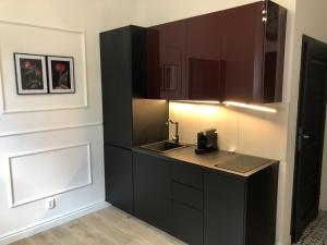 Kuchyňa alebo kuchynka v ubytovaní Villa Julius Sopot