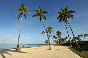 a row of palm trees on a beach with the ocean at The Residence Zanzibar in Kizimkazi