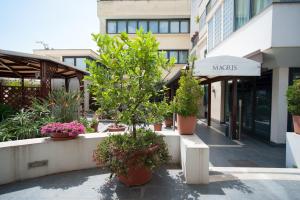 Zahrada ubytování Magri's Hotel