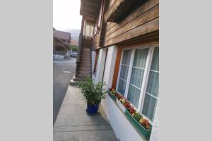 Hoone, kus apartement asub