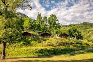 un groupe de cabanes sur une colline herbeuse avec des arbres dans l'établissement Safaritent Glamping L'Ardechois, à Gluiras