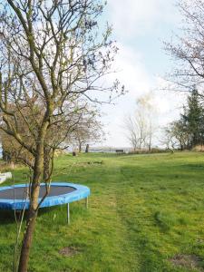 un trampolino blu in un campo con un albero di Apartments Sonne am Sund a Stralsund