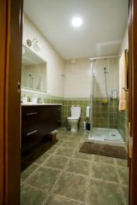 a bathroom with a shower and a toilet and a sink at LA CASA DEL TIO MASE in Carbonero el Mayor