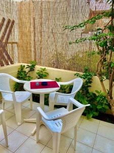 A garden outside Alexandra Hotel