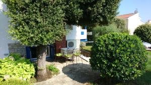 Galeriebild der Unterkunft Punta Skala Nena apartman in Petrcane