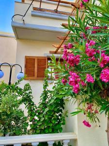 A garden outside Alexandra Hotel