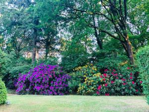 um jardim com flores coloridas num parque em De Spitse Egel: ontdek de pareltjes in de natuur! em Otterlo