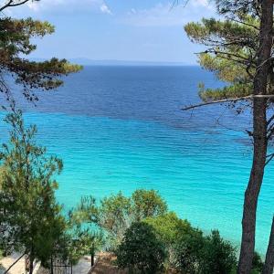 a view of the ocean from a hill with trees at Nostos Hotel in Afitos