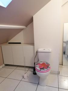 a bathroom with a toilet with a pink seat at Le sacré cœur bis -duplex 5pl in Le Havre