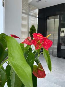 Fotografie z fotogalerie ubytování Hotel Zi One Luxury v destinaci Cartagena