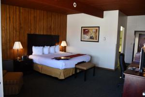 um quarto de hotel com uma cama grande e uma cadeira em Prairie Inn em Evanston