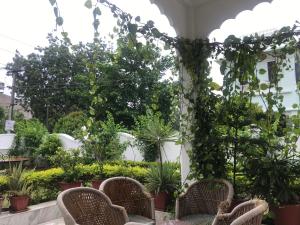 a patio with chairs and plants at Royal Heritage Villa Udaipur in Udaipur