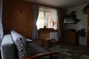 a living room with a couch and a window at Apartamenty- Mieszkania Wakacyjne in Czarna Góra