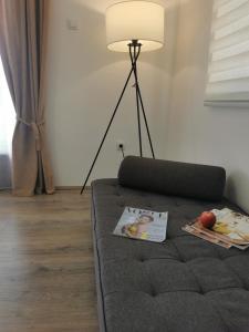 a living room with a couch and a lamp at Apartman Centar in Aleksandrovac