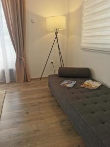 ein Wohnzimmer mit einem Sofa und einer Lampe in der Unterkunft Apartman Centar in Aleksandrovac