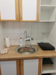 Kuhinja ili čajna kuhinja u objektu Apartman Centar