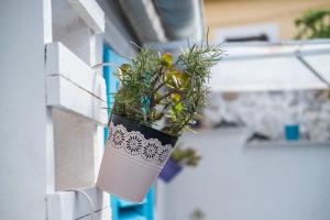 Fotografie z fotogalerie ubytování Apartments Kaštel v destinaci Veli Lošinj