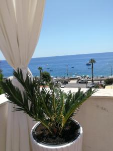 a plant in a pot on a balcony overlooking the ocean at B&B Il Mare degli Dei in Letojanni