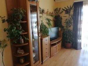 a living room with plants and a tv and a mirror at Goga Apartments in Primošten