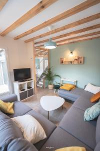 sala de estar con 2 sofás y TV en Maison individuelle "Gite la Soulane" à 2 min de Saint lary soulan, en Vielle-Aure