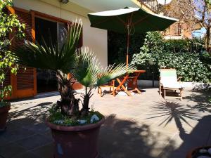 Zahrada ubytování appartamento in villa a Pietragrande Villa Mi Vida + 7 fotografií