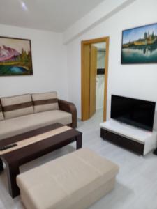 un soggiorno con divano e camino di BFS Apartment a Ohrid