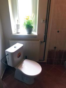 a bathroom with a toilet with a window and a plant at Chata Fanynka in Bělá pod Pradědem