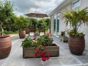 Κήπος έξω από το Toppesfield House B&B