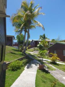 a palm tree in a yard next to a house at Ti Village Creole in Sainte-Anne