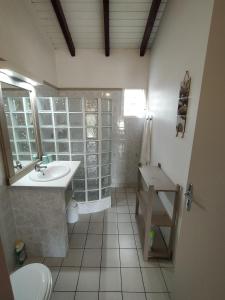 ein Bad mit einem Waschbecken und einem WC in der Unterkunft TI VILLAGE CREOLE in Sainte-Anne