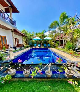 une piscine en face d'une maison avec des plantes en pot dans l'établissement Radya Homestay, à Nusa Lembongan