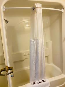 einen Duschvorhang im Bad neben einer Badewanne in der Unterkunft Harrisonville Inn & Suites in Harrisonville