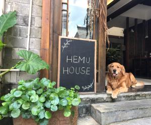 um cão sentado à porta de uma casa de cânhamo em Hemu House em Fenghuang