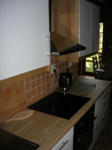 A kitchen or kitchenette at Drevenica pod smrekom