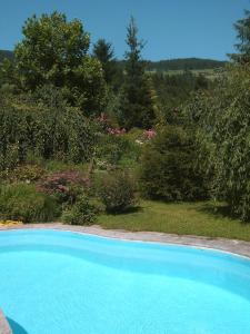 einen großen blauen Pool im Garten in der Unterkunft Landhotel Eva in Kirchberg in Tirol