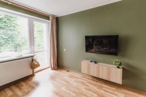 uma sala de estar com paredes verdes e uma grande janela em Piastowska sleeping - mieszkanie w centrum miasta em Krosno