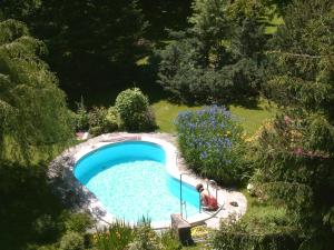 einen Blick über den Pool im Garten in der Unterkunft Landhotel Eva in Kirchberg in Tirol