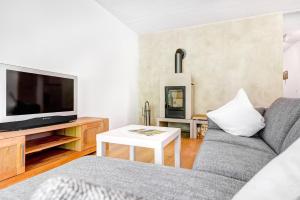 - un salon avec un canapé et une télévision dans l'établissement Gartenappartement Füchsle by A-Appartments, à Brand