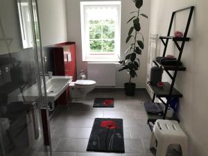 a bathroom with a sink and a toilet and a window at Ferienwohnung Uhlig in Kurort Altenberg
