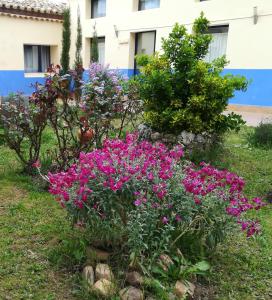 Ảnh trong thư viện ảnh của Albergue Quinta del Jalón ở Granja de San Pedro