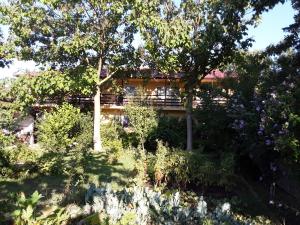 a garden with trees and flowers in front of a building at vila catrini in Costinesti
