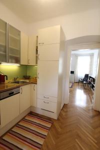 Kuchyňa alebo kuchynka v ubytovaní Apartment Villa Penzing