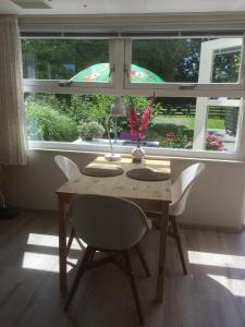 a table with two chairs and a lamp in front of a window at Lekerweg 32 in Wijdenes +21 photos