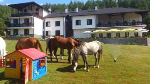 een groep paarden die grazen in een veld naast een gebouw bij Rusaliite Adventure House in Bachevo