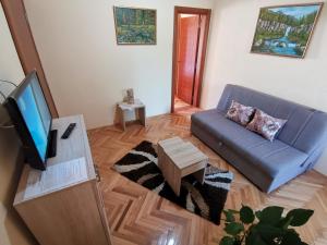 a living room with a blue couch and a television at Apartments Abramovic in Sutomore