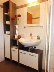 een badkamer met een wastafel en een spiegel bij Haus Sophia in Schruns