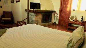 a living room with a fireplace and a bed at Casona De Navalmedio in Cercedilla