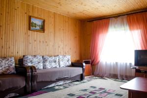 a living room with a couch and a window at Svitlana in Tatariv