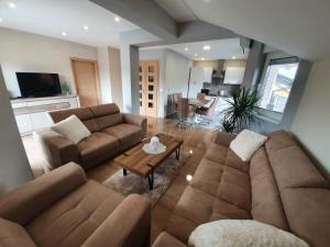 TV a/nebo společenská místnost v ubytování Apartman Božur ****