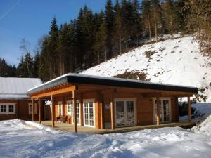 Helmbrechts的住宿－Chalet Bischofsmühle，雪中的一个小木屋,有山